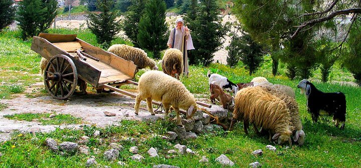 Nazareth Village_1