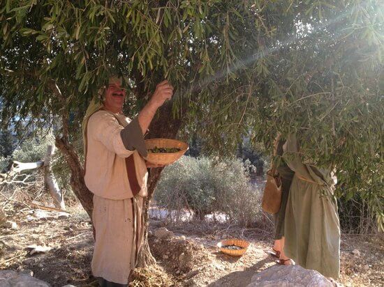 Nazareth Village_2